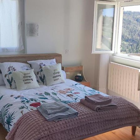 La Petite Maison D'Hose Monistrol-sur-Loire Eksteriør bilde